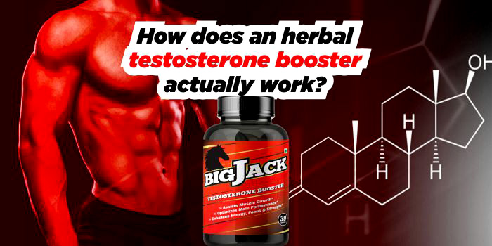 How does an herbal testosterone booster actually work?