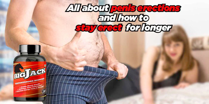 All about penis erections and how to stay erect for longer